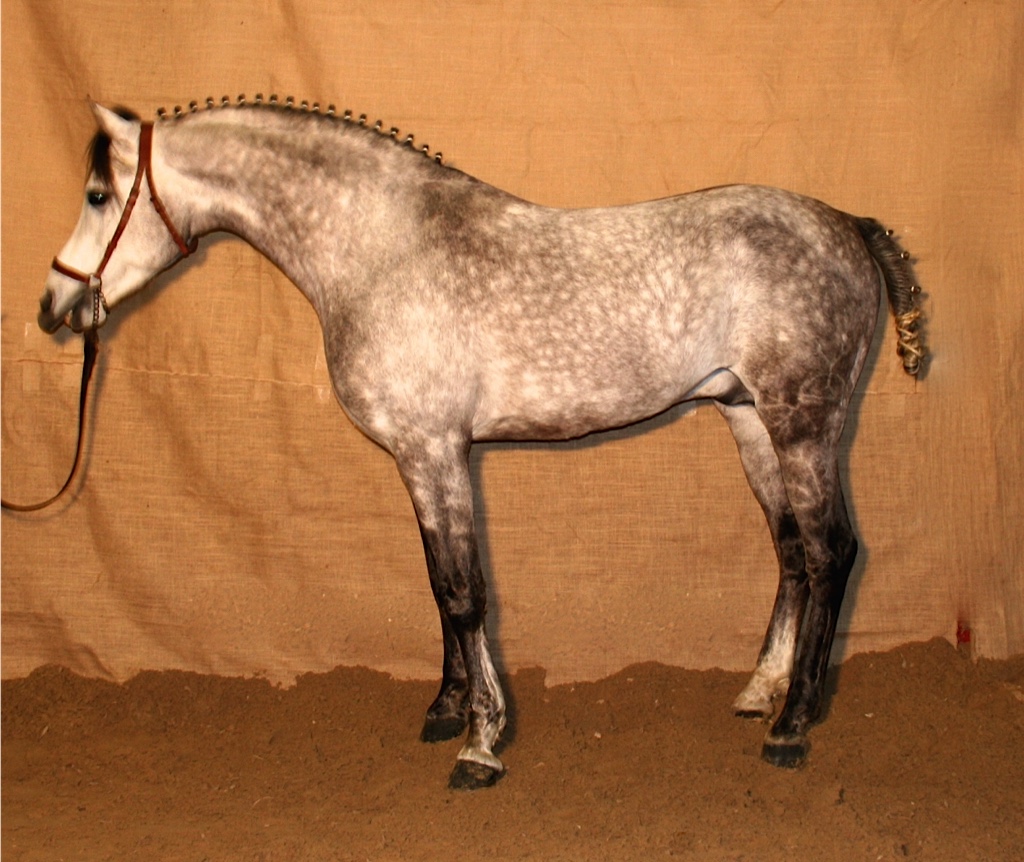 Sefar